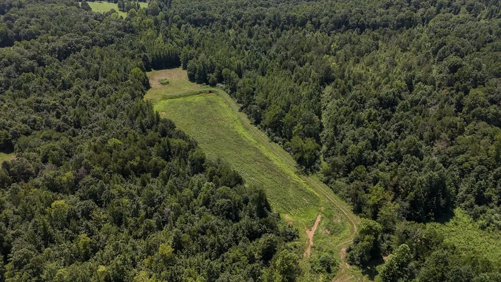 0 Hwy 69S Paris, TN 38242