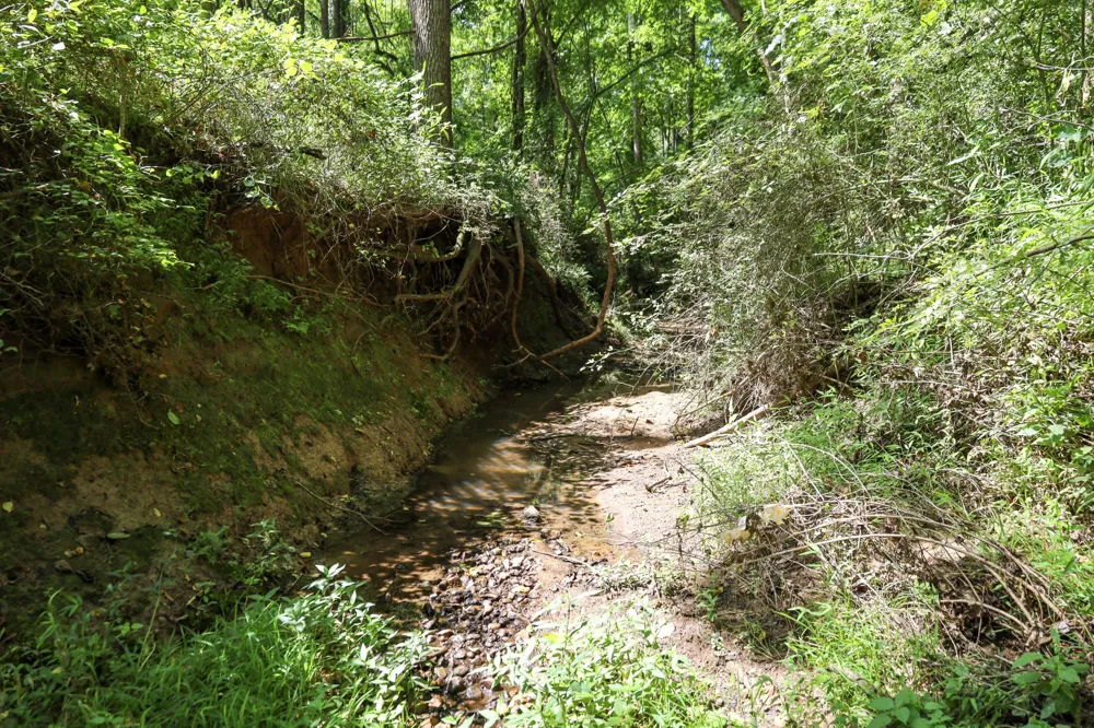 0 Hwy 69S Paris, TN 38242
