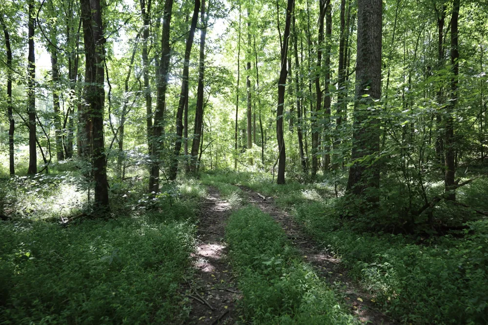 0 Hwy 69S Paris, TN 38242