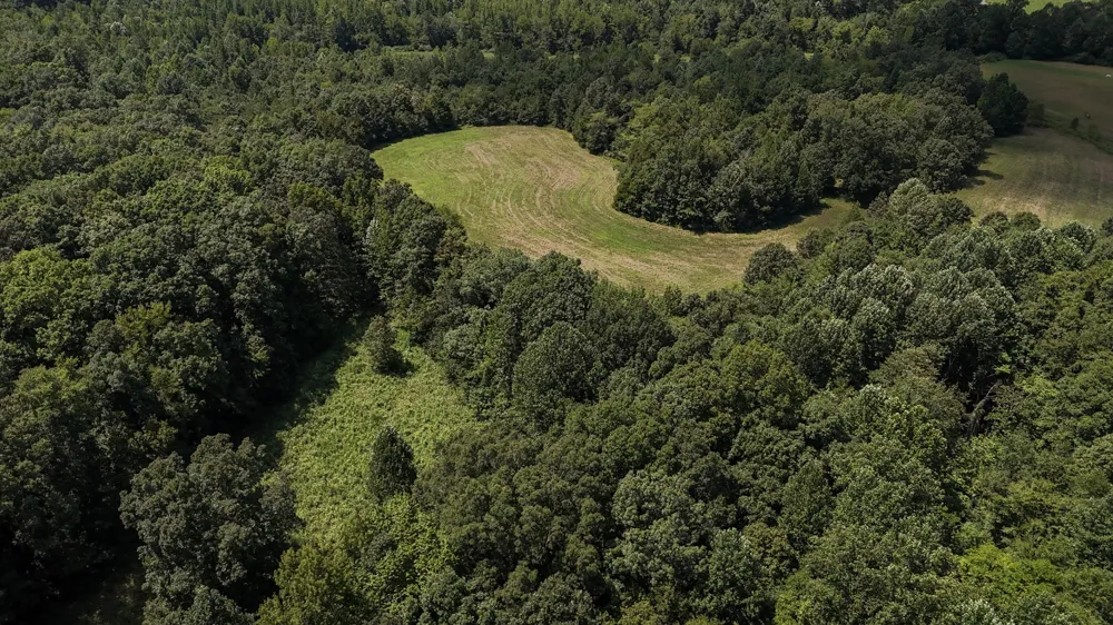 0 Hwy 69S Paris, TN 38242