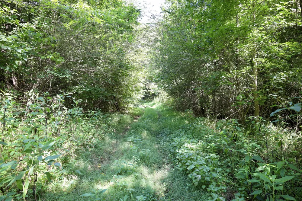 0 Hwy 69S Paris, TN 38242