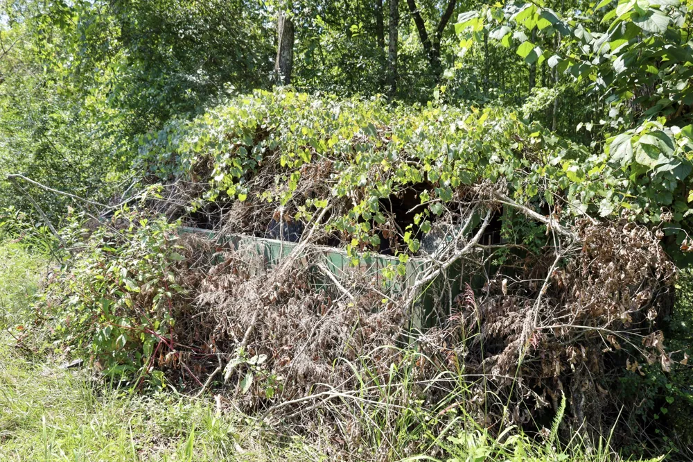 0 Hwy 69S Paris, TN 38242