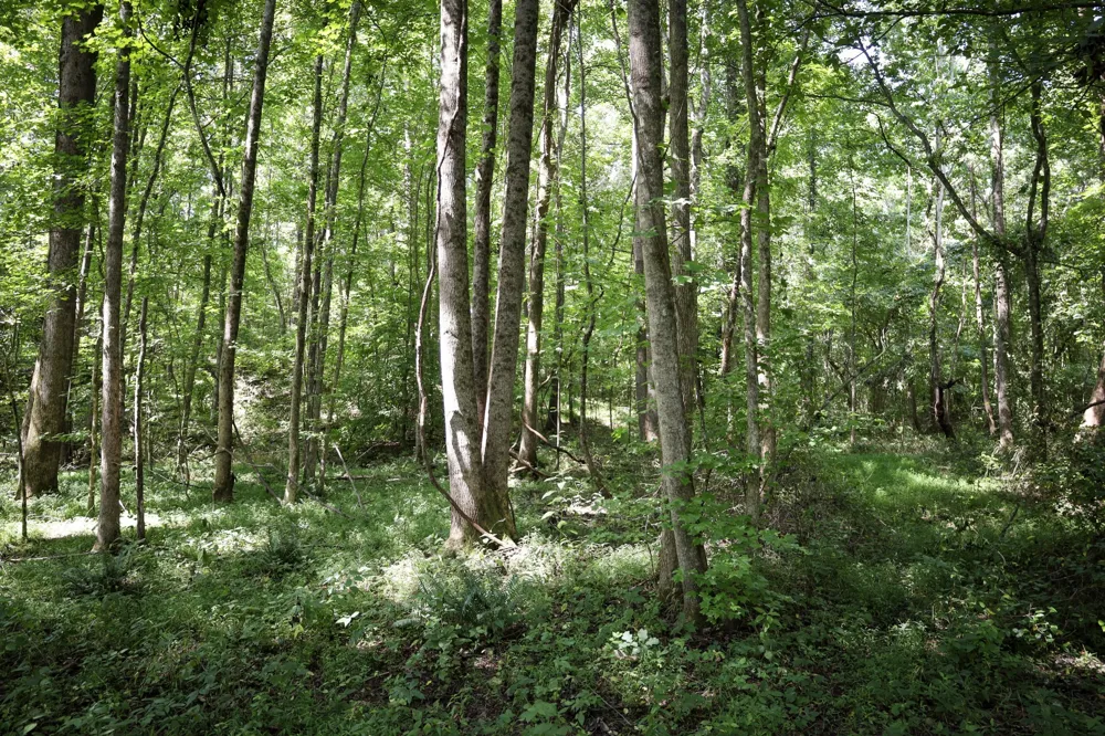 0 Hwy 69S Paris, TN 38242