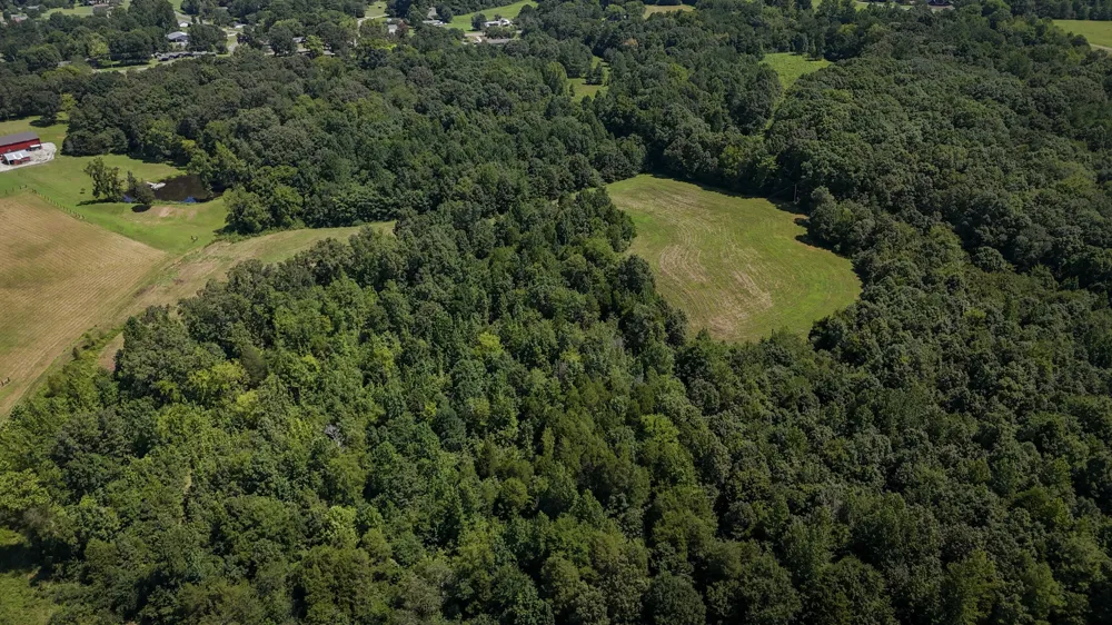 0 Hwy 69S Paris, TN 38242