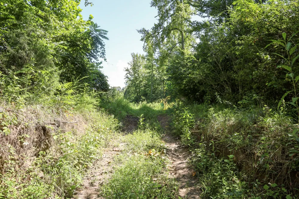 0 Hwy 69S Paris, TN 38242