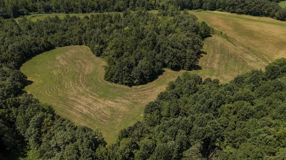 0 Hwy 69S Paris, TN 38242