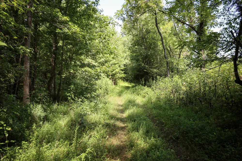 0 Hwy 69S Paris, TN 38242