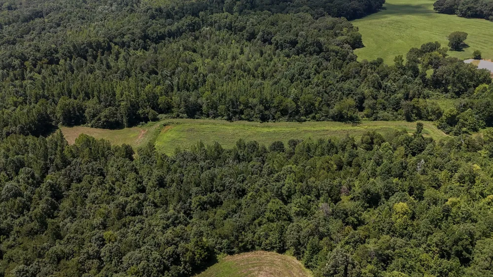 0 Hwy 69S Paris, TN 38242