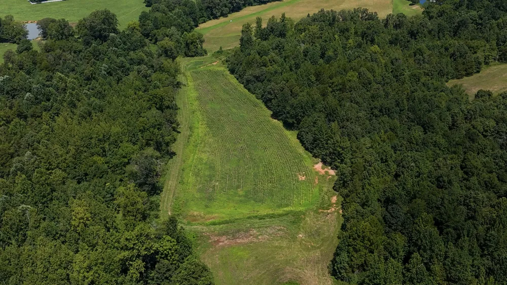 0 Hwy 69S Paris, TN 38242