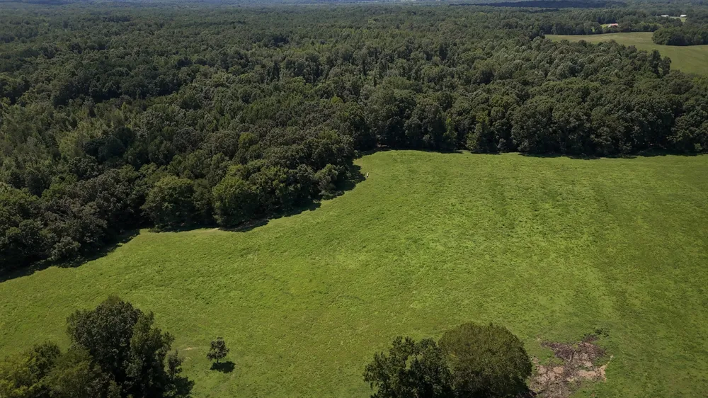 0 Hwy 69S Paris, TN 38242