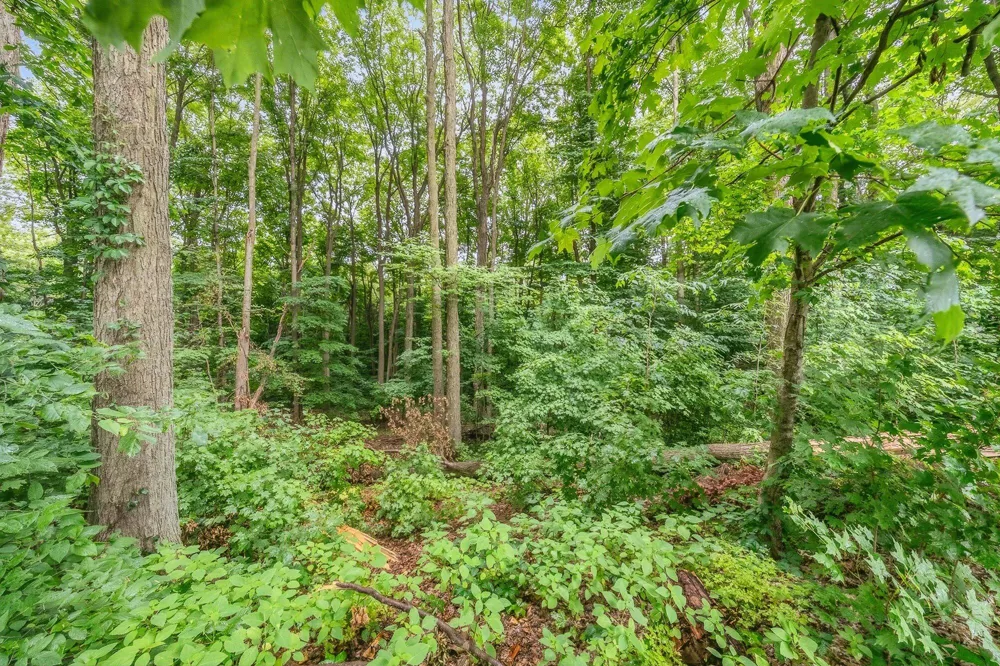 2600 Orange Meadow Lane Kalamazoo Charter Township, MI 49004
