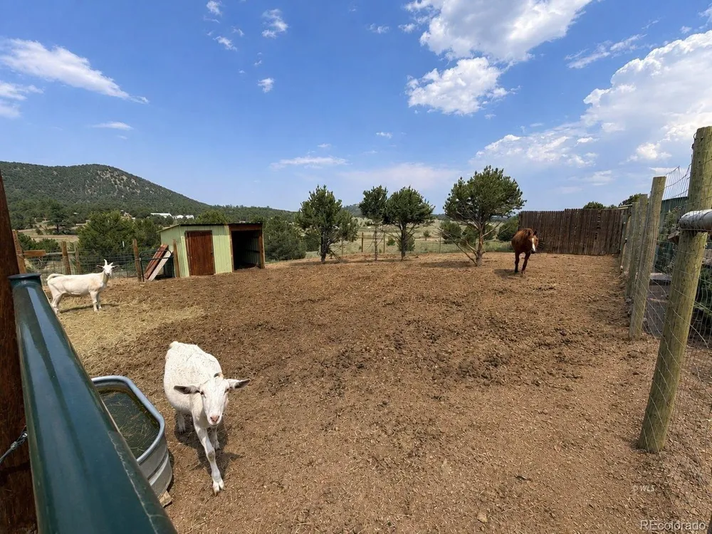 1662 21st Trail Cotopaxi, CO 81223