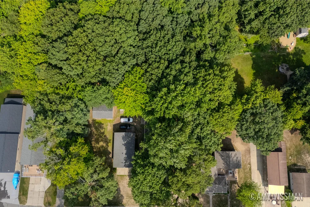 2083 Archwood Drive Wayland, MI 49348