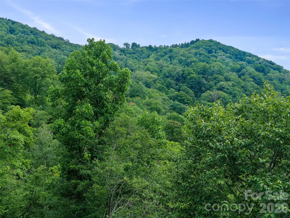 0 Ogle Meadows Road ##81 Burnsville, NC 28714