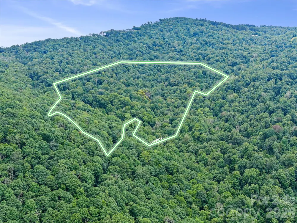 0 Ogle Meadows Road ##81 Burnsville, NC 28714