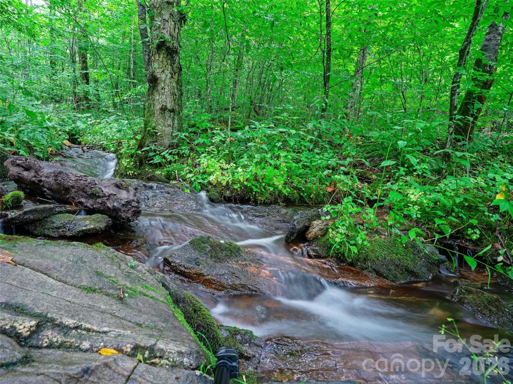 0 Ogle Meadows Road ##81 Burnsville, NC 28714