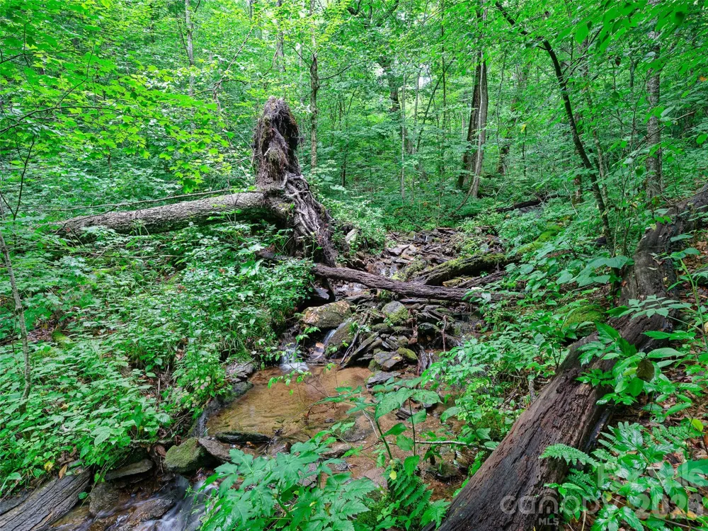 0 Ogle Meadows Road ##81 Burnsville, NC 28714