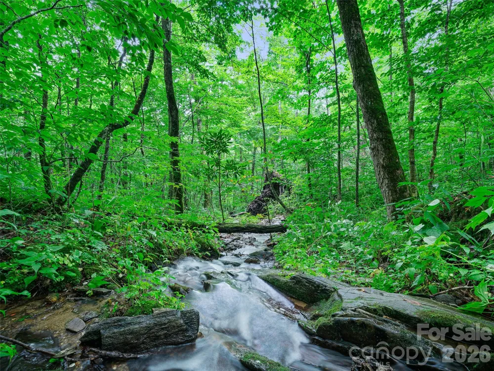 0 Ogle Meadows Road ##81 Burnsville, NC 28714