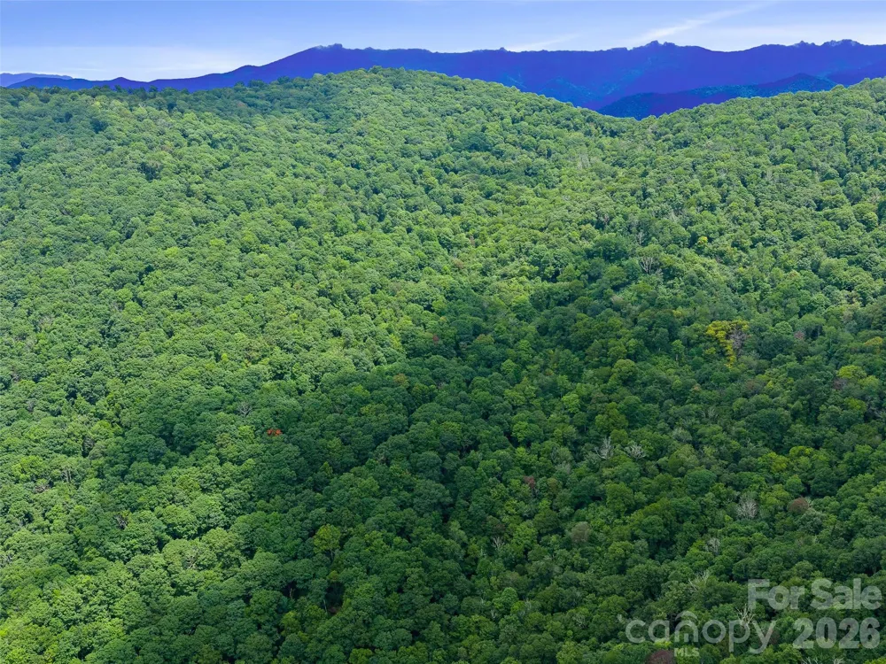 0 Ogle Meadows Road ##81 Burnsville, NC 28714