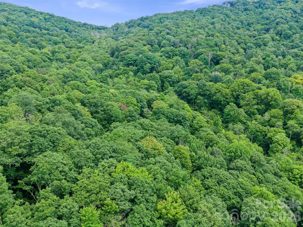 0 Ogle Meadows Road ##81 Burnsville, NC 28714