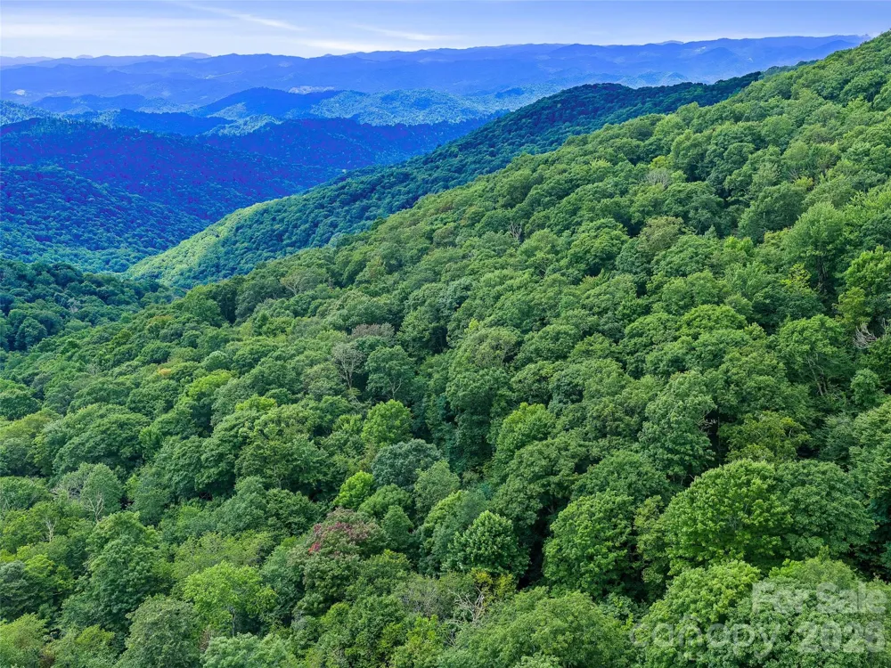 0 Ogle Meadows Road ##81 Burnsville, NC 28714