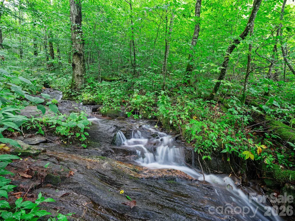 0 Ogle Meadows Road ##81 Burnsville, NC 28714