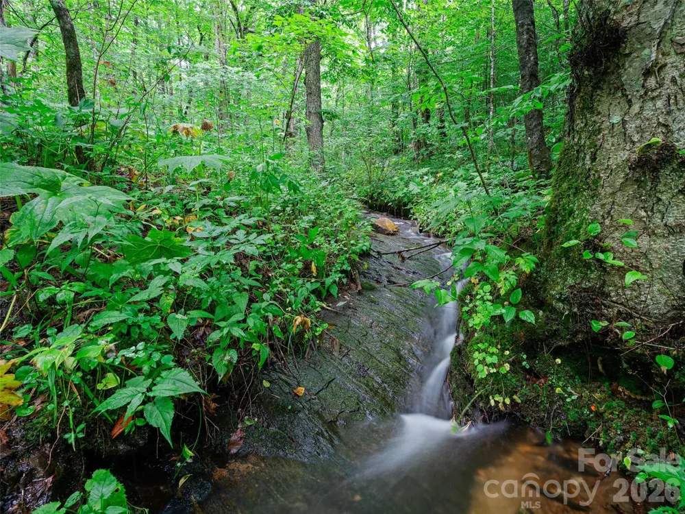 0 Ogle Meadows Road ##81 Burnsville, NC 28714