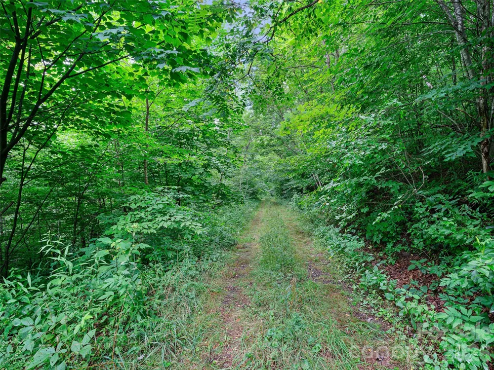 0 Ogle Meadows Road ##81 Burnsville, NC 28714