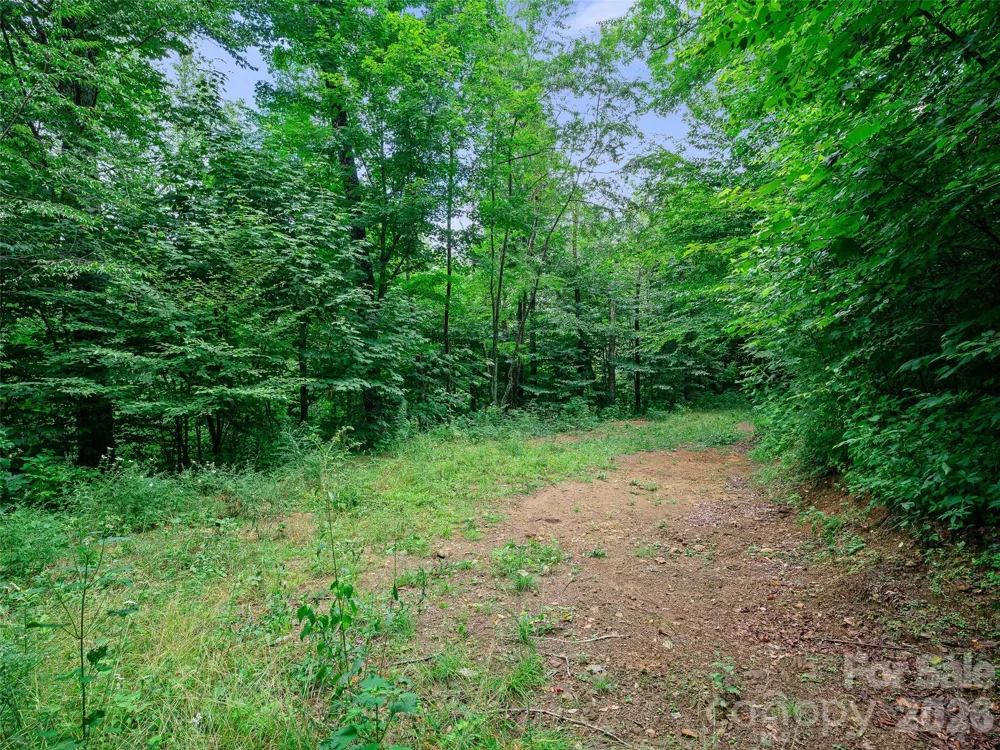 0 Ogle Meadows Road ##81 Burnsville, NC 28714