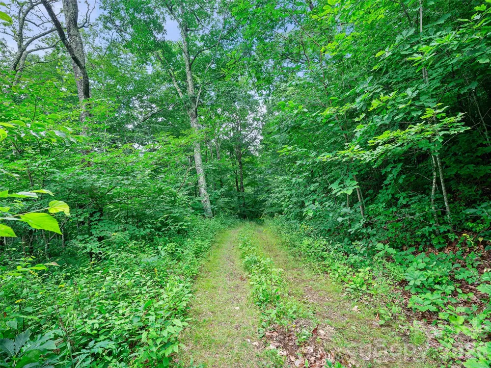 0 Ogle Meadows Road ##81 Burnsville, NC 28714