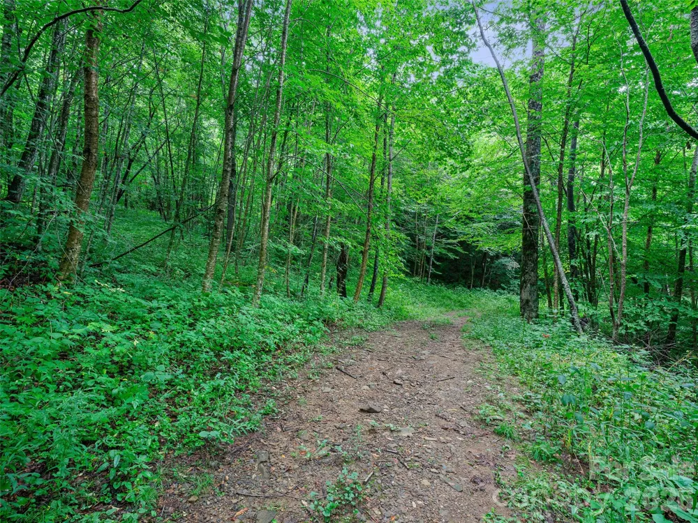 0 Ogle Meadows Road ##81 Burnsville, NC 28714