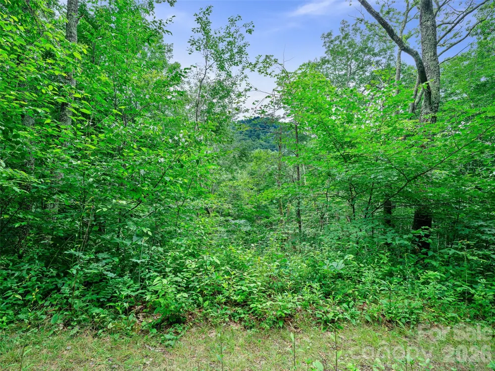 0 Ogle Meadows Road ##81 Burnsville, NC 28714