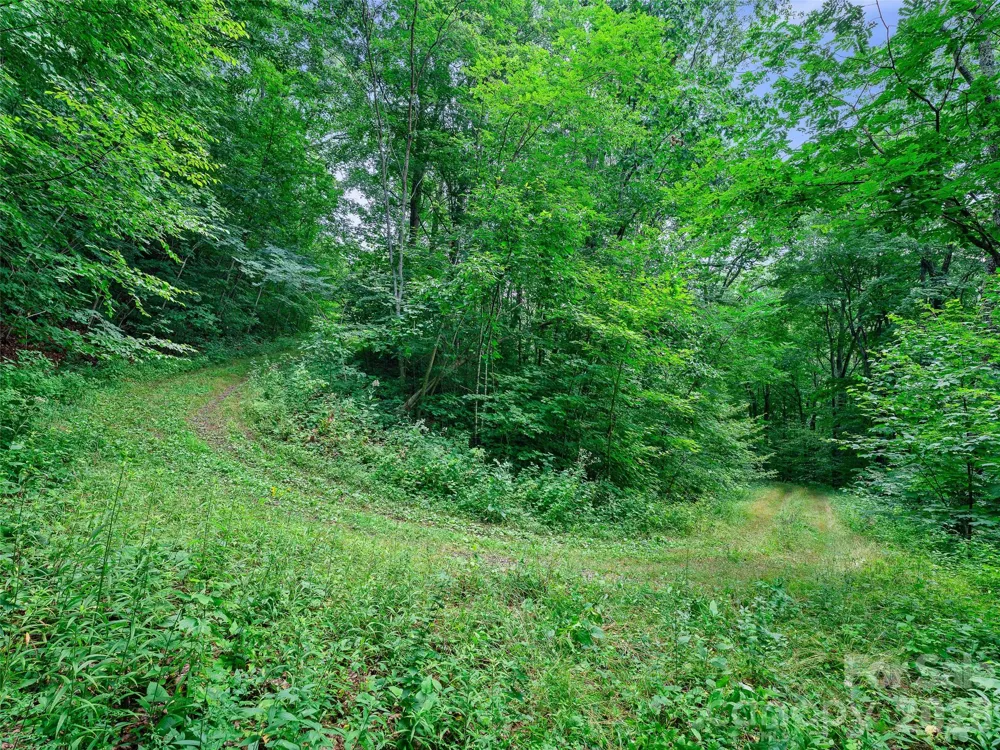 0 Ogle Meadows Road ##81 Burnsville, NC 28714