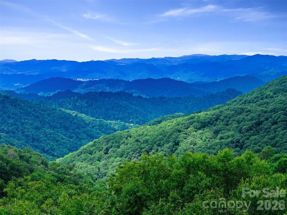 0 Ogle Meadows Road ##81 Burnsville, NC 28714