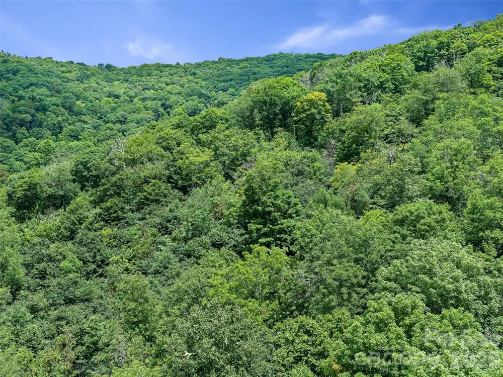 0 Ogle Meadows Road ##81 Burnsville, NC 28714