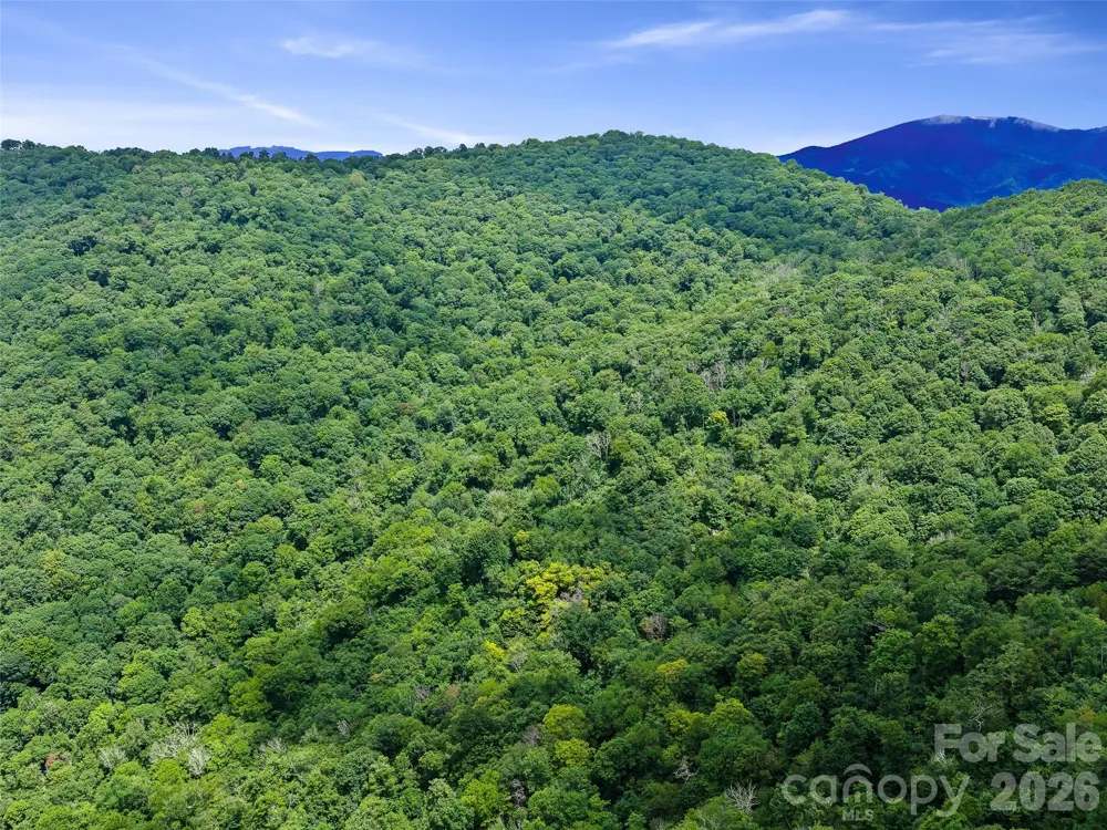 0 Ogle Meadows Road ##81 Burnsville, NC 28714