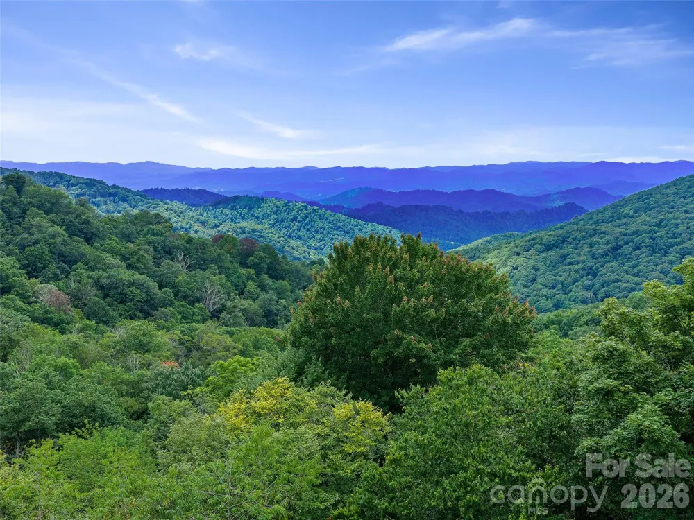 0 Ogle Meadows Road ##81 Burnsville, NC 28714