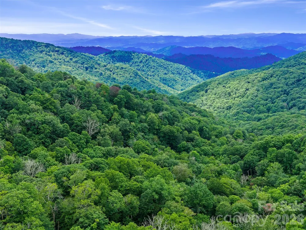 0 Ogle Meadows Road ##81 Burnsville, NC 28714