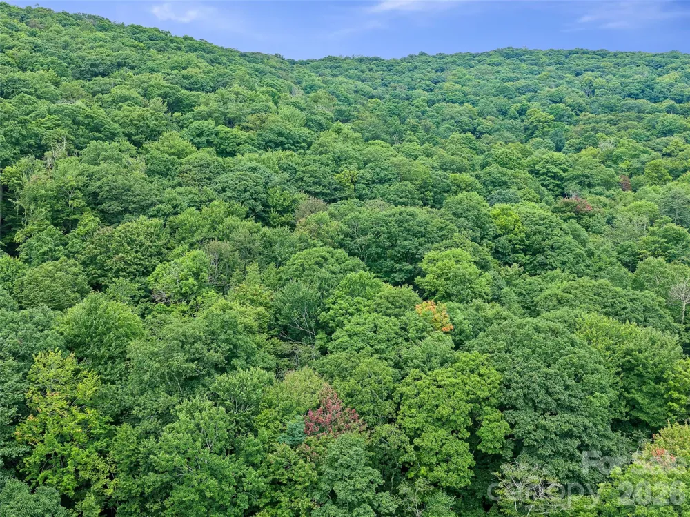 0 Ogle Meadows Road ##81 Burnsville, NC 28714