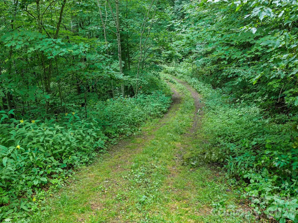 0 Ogle Meadows Road ##81 Burnsville, NC 28714