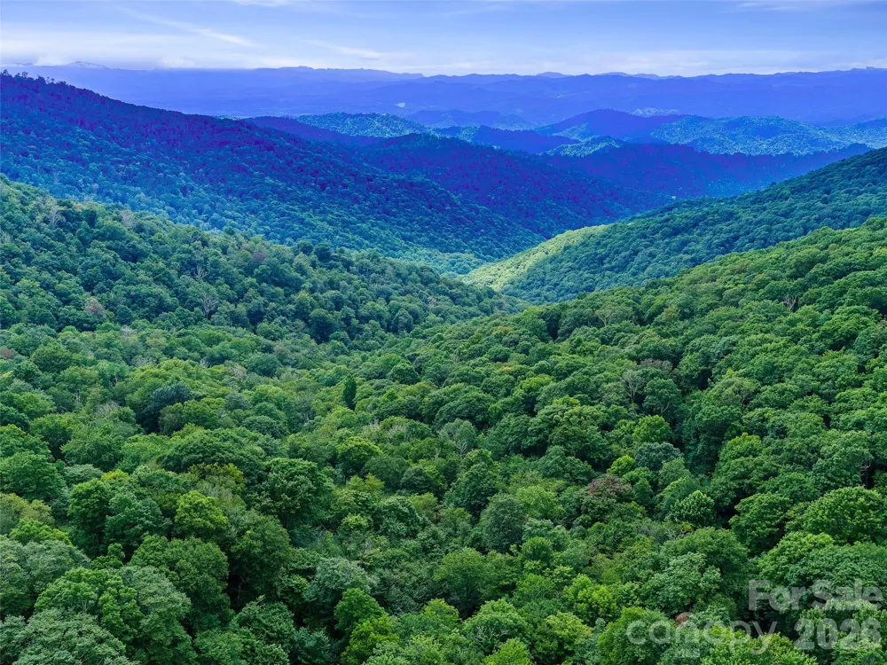 0 Ogle Meadows Road ##81 Burnsville, NC 28714