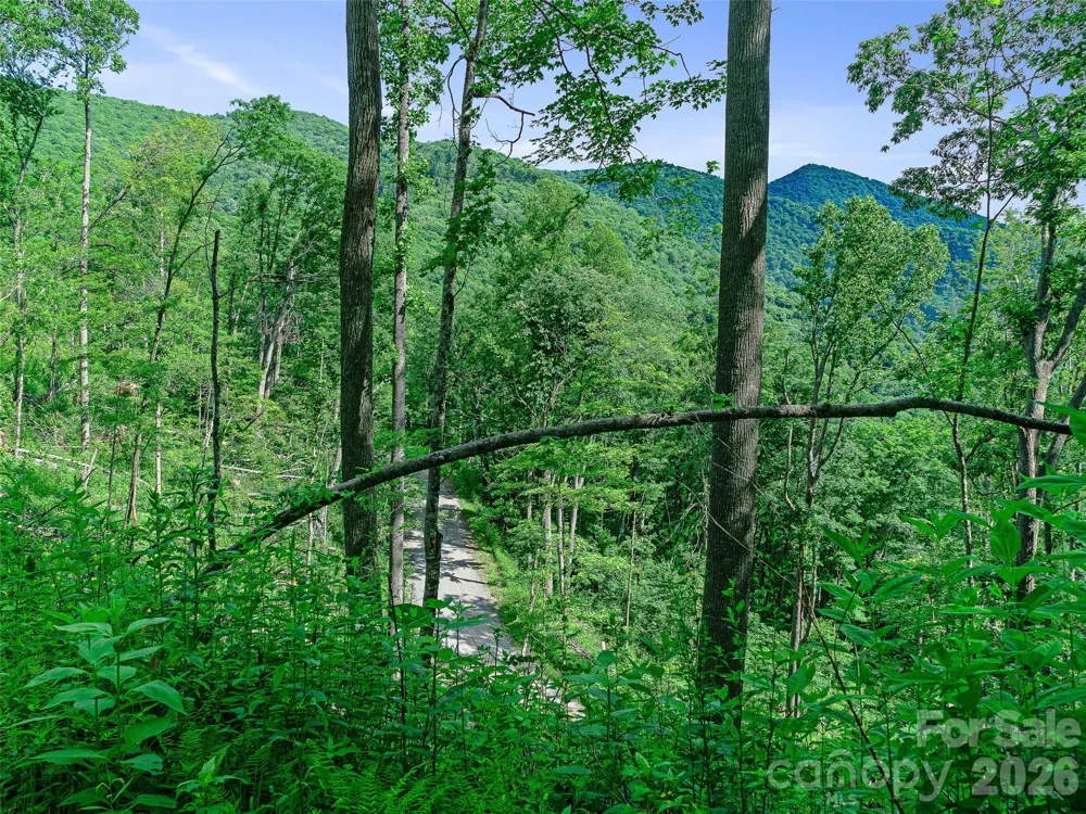 0 Ogle Meadows Road ##81 Burnsville, NC 28714
