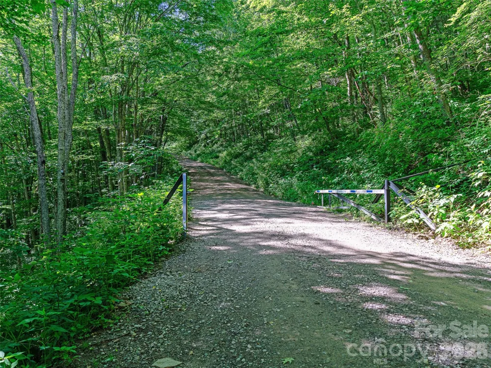 0 Ogle Meadows Road ##81 Burnsville, NC 28714