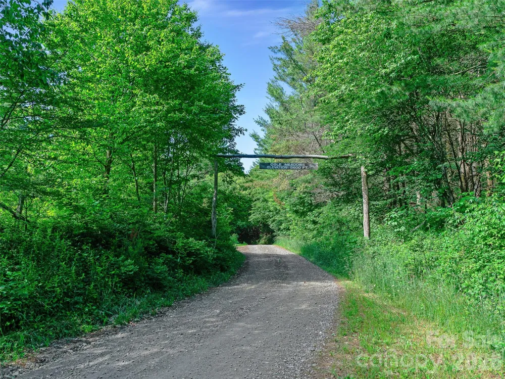 0 Ogle Meadows Road ##81 Burnsville, NC 28714
