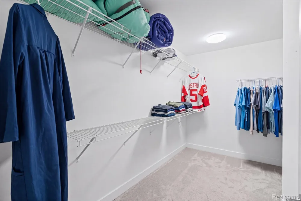 7302 Geraldine Circle Gaines Township, MI 48473