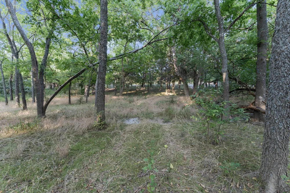 511 Bowden Street Anna, TX 75409