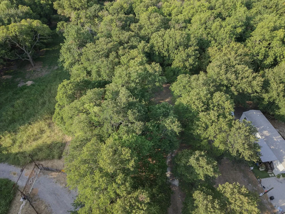511 Bowden Street Anna, TX 75409