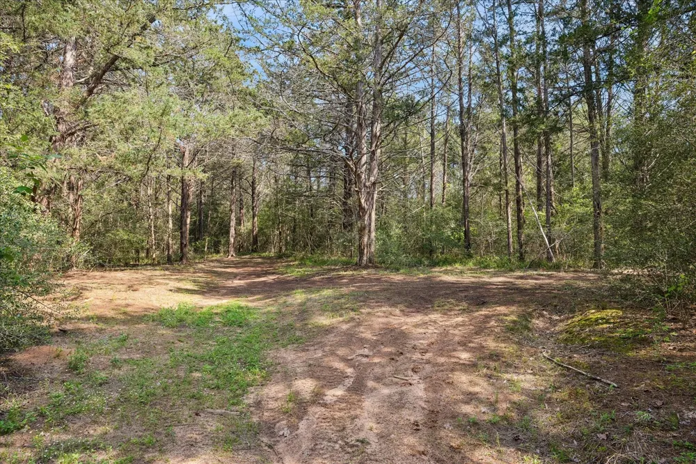 15946 Fm 1094 Cat Spring, TX 78933