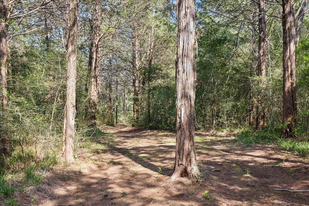 15946 Fm 1094 Cat Spring, TX 78933