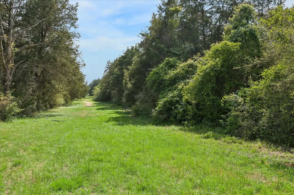 15946 Fm 1094 Cat Spring, TX 78933